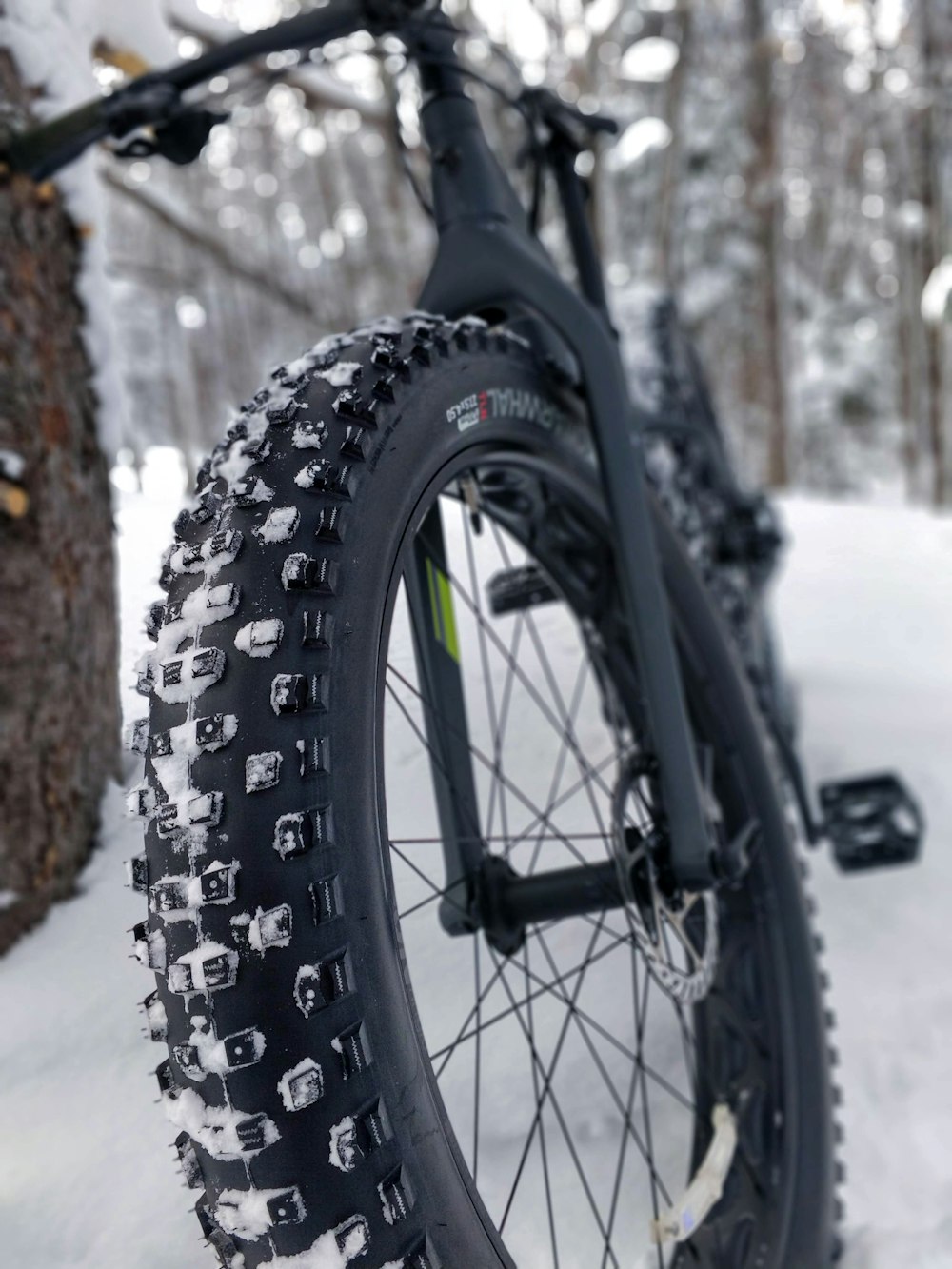 Bicicleta rígida negra apoyada en un árbol con campo cubierto de nieve