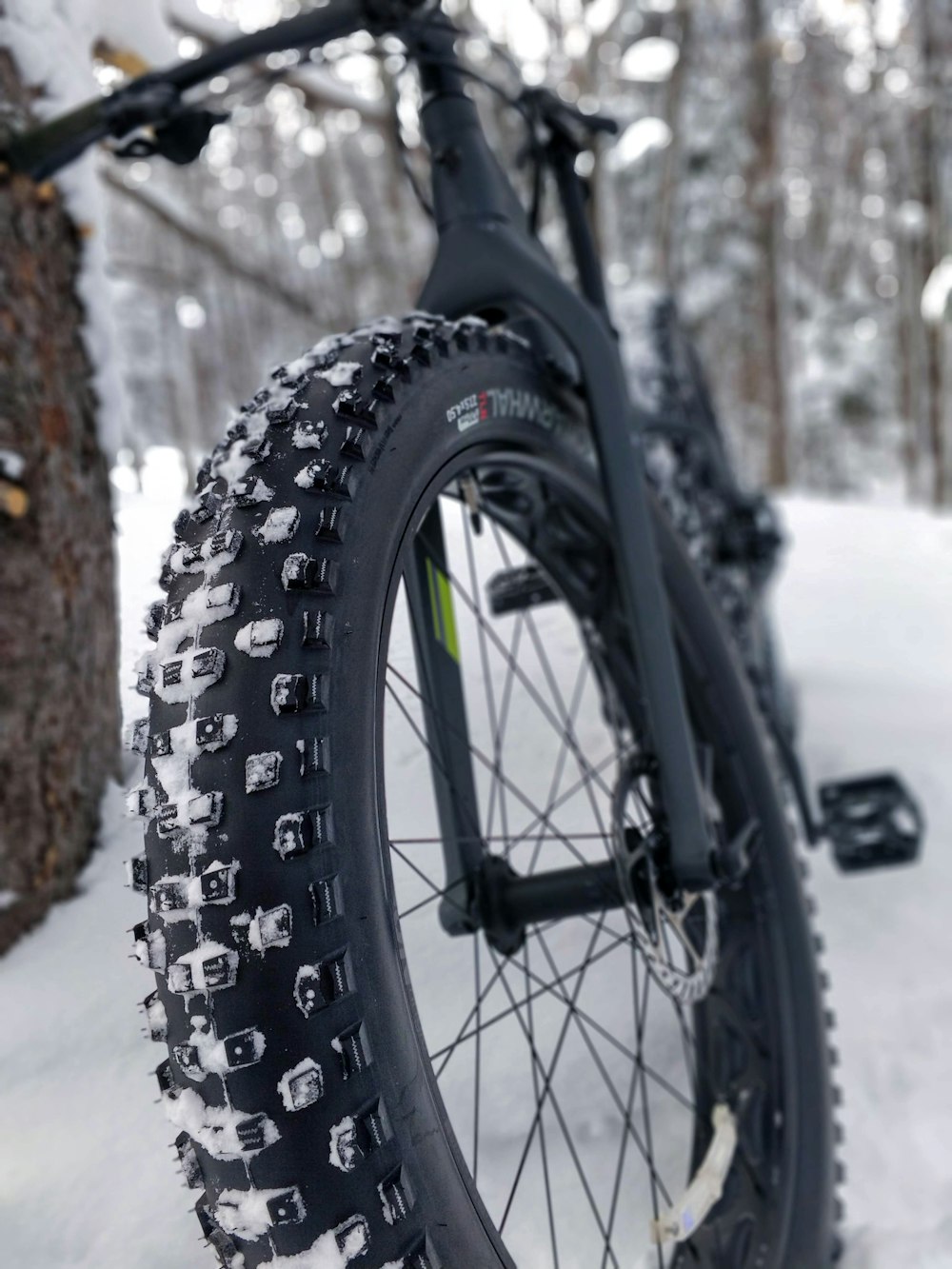 vélo semi-rigide noir appuyé sur un arbre avec un champ enneigé