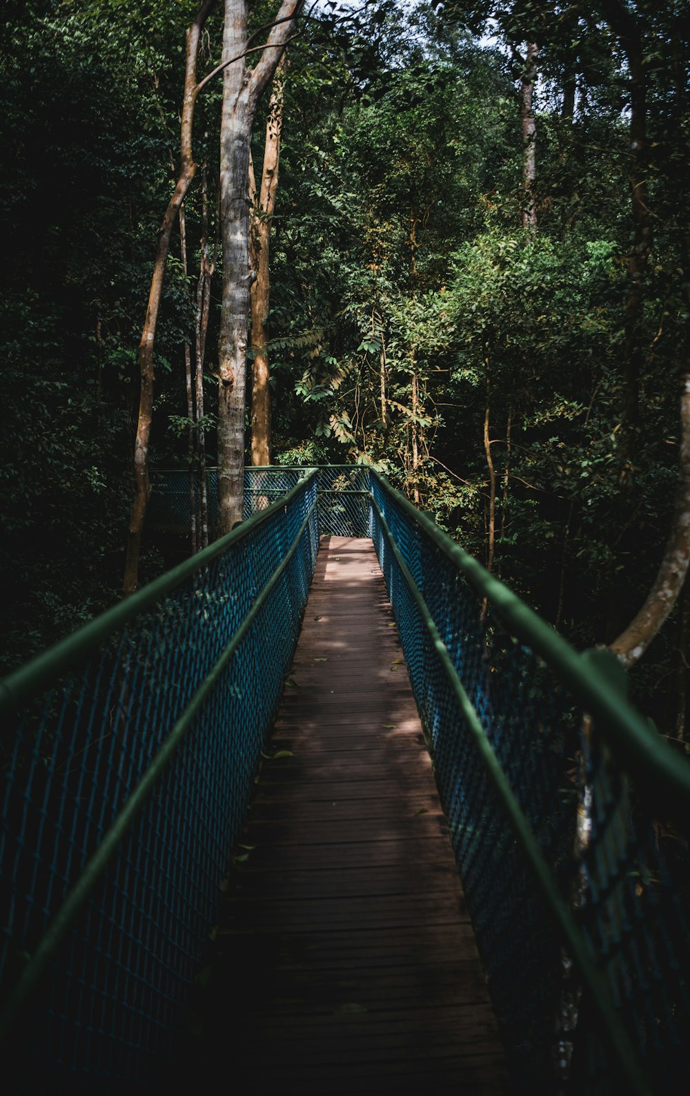 empty brown wooden bridge with blue net rails