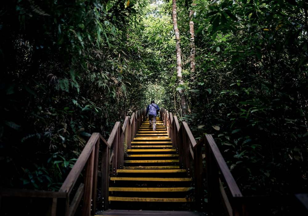 person walking on stairs at middle of forest