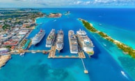 aerial photography of white and blue cruise ships during daytime