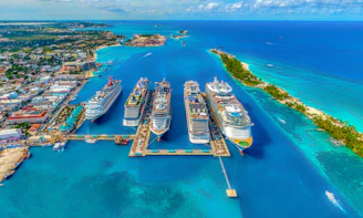 aerial photography of white and blue cruise ships during daytime