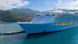 white cruise ship docked beside port