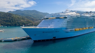 white cruise ship docked beside port