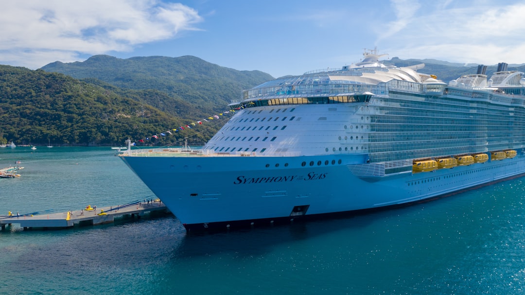 cruise ship docked at a port