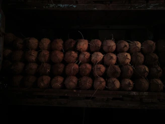 Close-up of raw coconut shells stacked neatly in a warehouse, ready for processing.