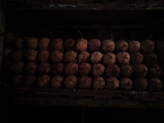 A stack of coconuts arranged neatly in a dark, rustic setting. The husks are rough and brown, with fibers sticking out, and are placed in multiple rows, creating a pattern. The lighting is dim, adding a sense of warmth and earthiness to the scene.