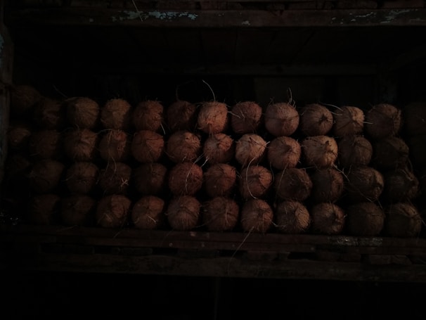 A stack of coconuts arranged neatly in a dark, rustic setting. The husks are rough and brown, with fibers sticking out, and are placed in multiple rows, creating a pattern. The lighting is dim, adding a sense of warmth and earthiness to the scene.