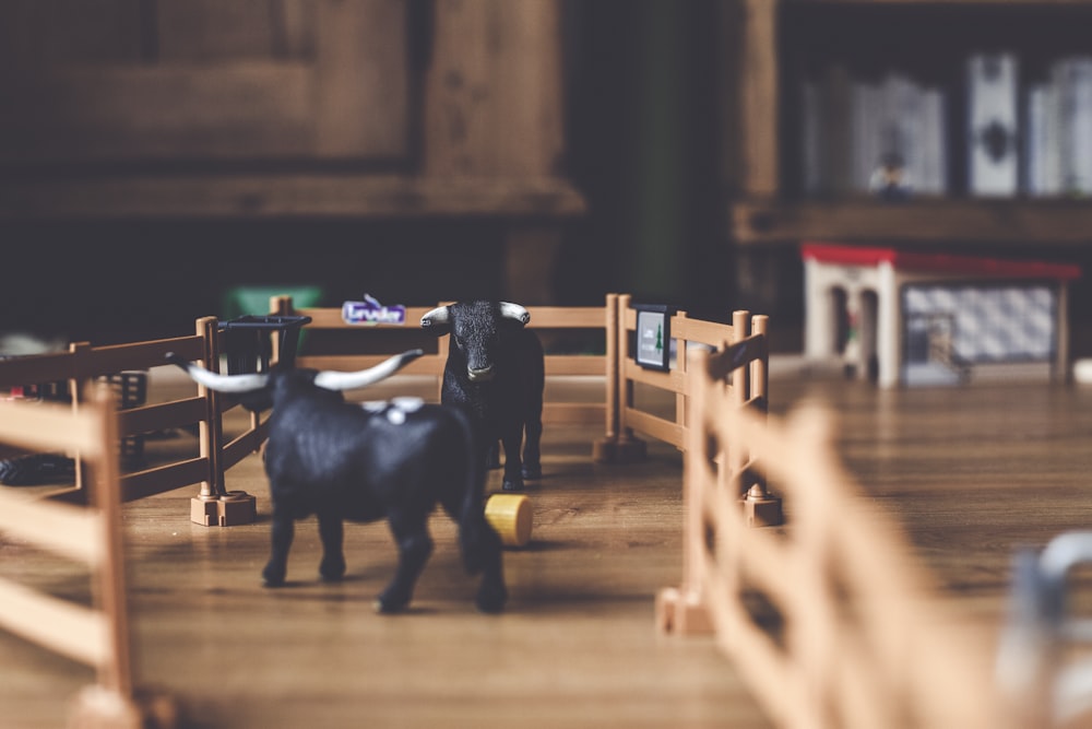selective focus photography of two black bull figurines
