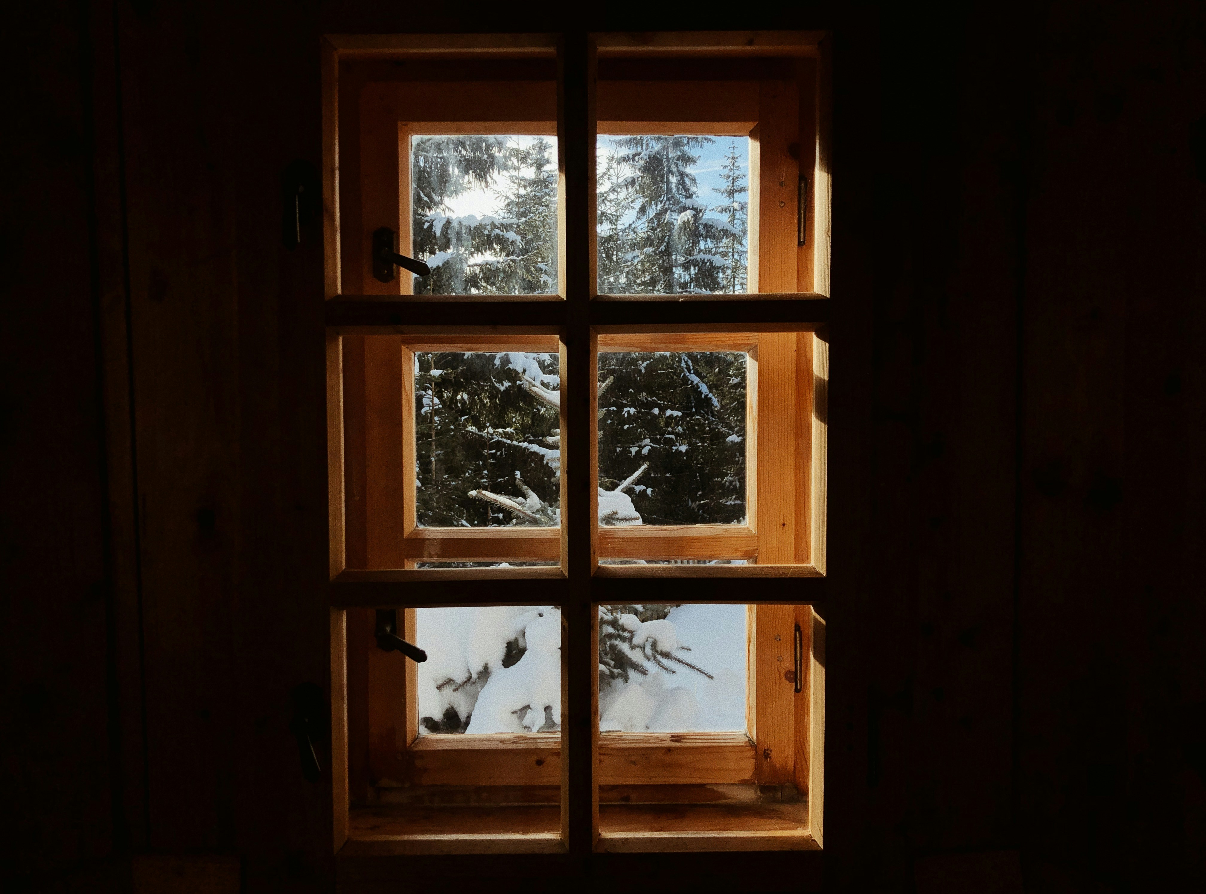 Photo by bogdan12893