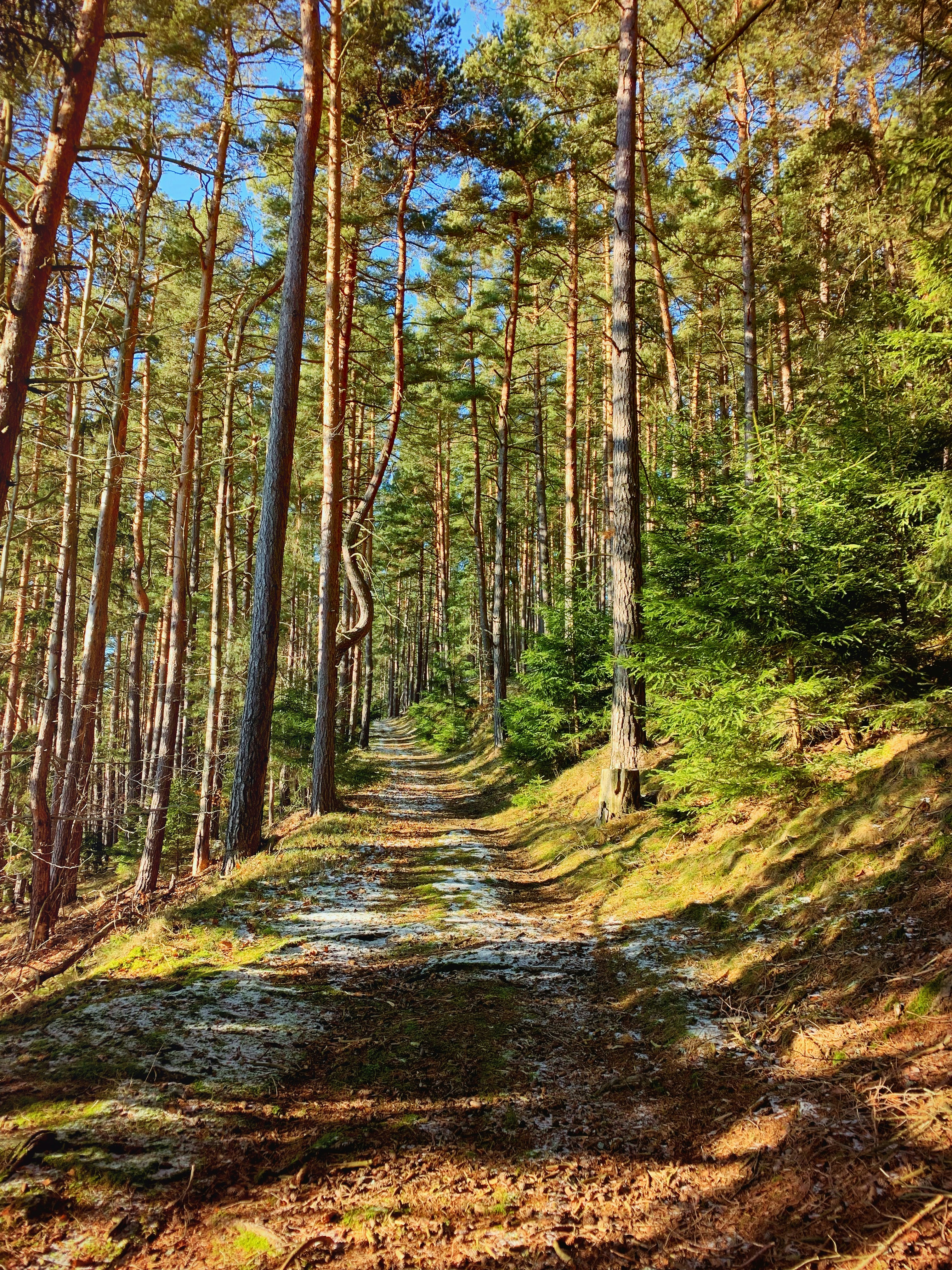 Photo by timotheus_froebel