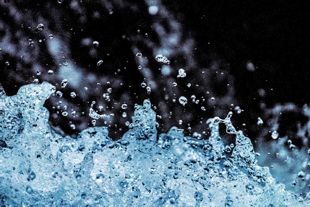 macro photography of body of water photo – Free Stream Image on ...