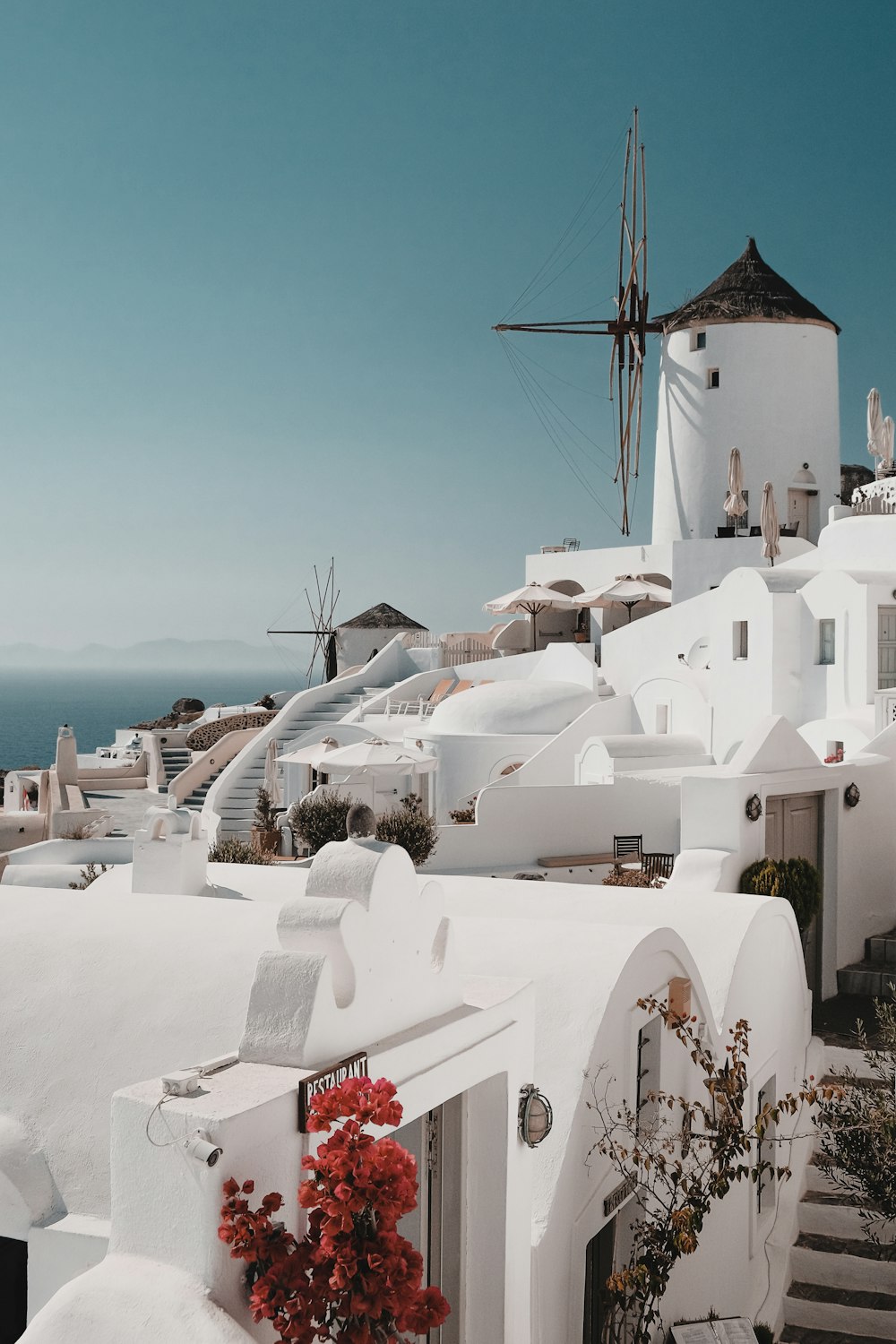 white concrete houses