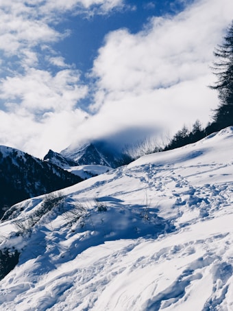 Snow-covered mountains under a partly cloudy sky, with footprints leading through the snow. Tall trees are visible along the right side of the image, and the overall landscape exudes a sense of pristine wilderness.