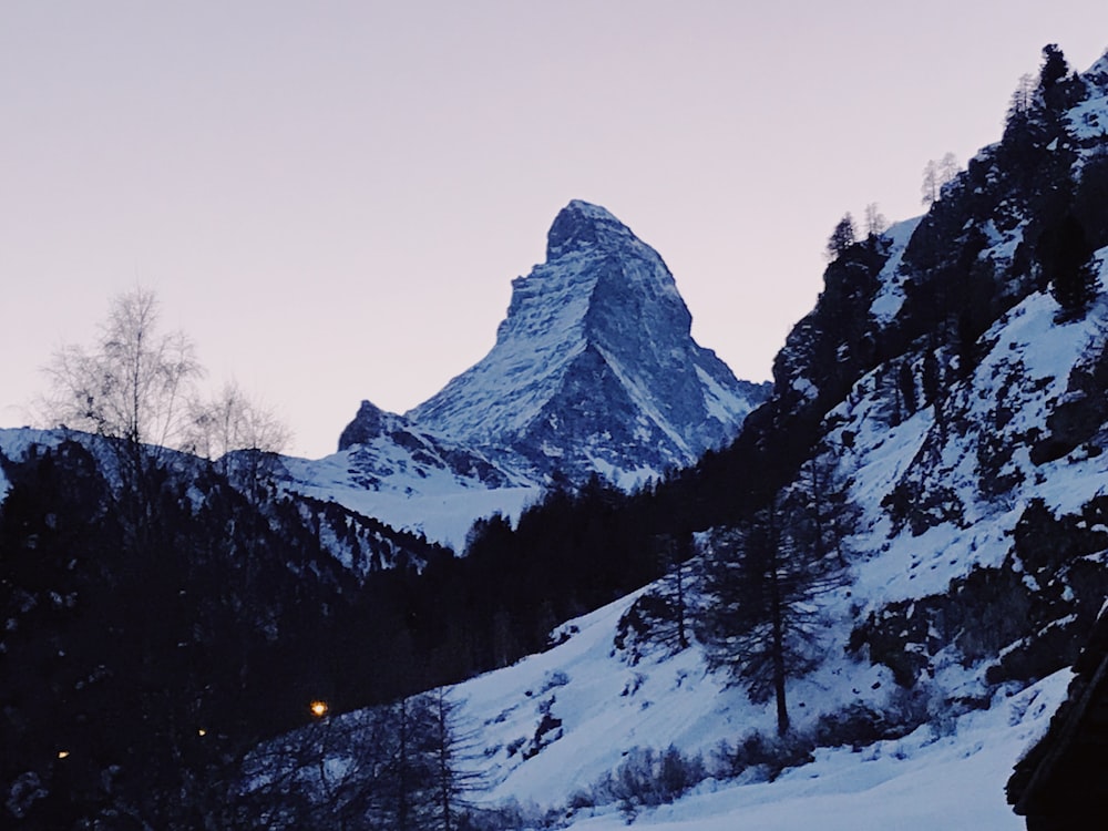 mountain alps beside forests