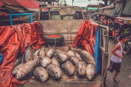 A truck bed filled with large fish, covered partially by red and blue tarps, is parked on a busy market street. A spare tire is visible against the truck's cab. In the background, market stalls line the street with a few people and vehicles passing by. A young boy runs alongside the truck, dressed in a white tank top and blue shorts.