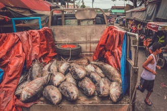 A truck bed filled with large fish, covered partially by red and blue tarps, is parked on a busy market street. A spare tire is visible against the truck's cab. In the background, market stalls line the street with a few people and vehicles passing by. A young boy runs alongside the truck, dressed in a white tank top and blue shorts.