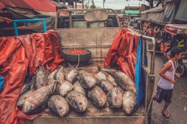 A delivery truck loaded with seafood crates ready to head to hotels and restaurants.