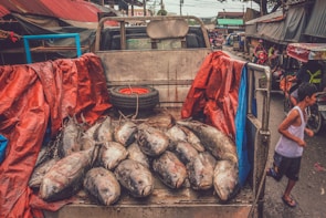 A truck bed filled with large fish, covered partially by red and blue tarps, is parked on a busy market street. A spare tire is visible against the truck's cab. In the background, market stalls line the street with a few people and vehicles passing by. A young boy runs alongside the truck, dressed in a white tank top and blue shorts.