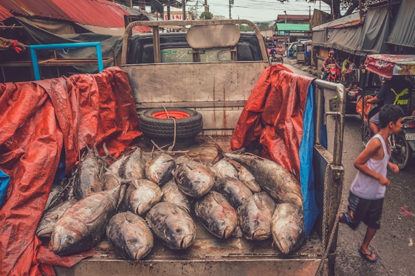 A truck bed filled with large fish, covered partially by red and blue tarps, is parked on a busy market street. A spare tire is visible against the truck's cab. In the background, market stalls line the street with a few people and vehicles passing by. A young boy runs alongside the truck, dressed in a white tank top and blue shorts.
