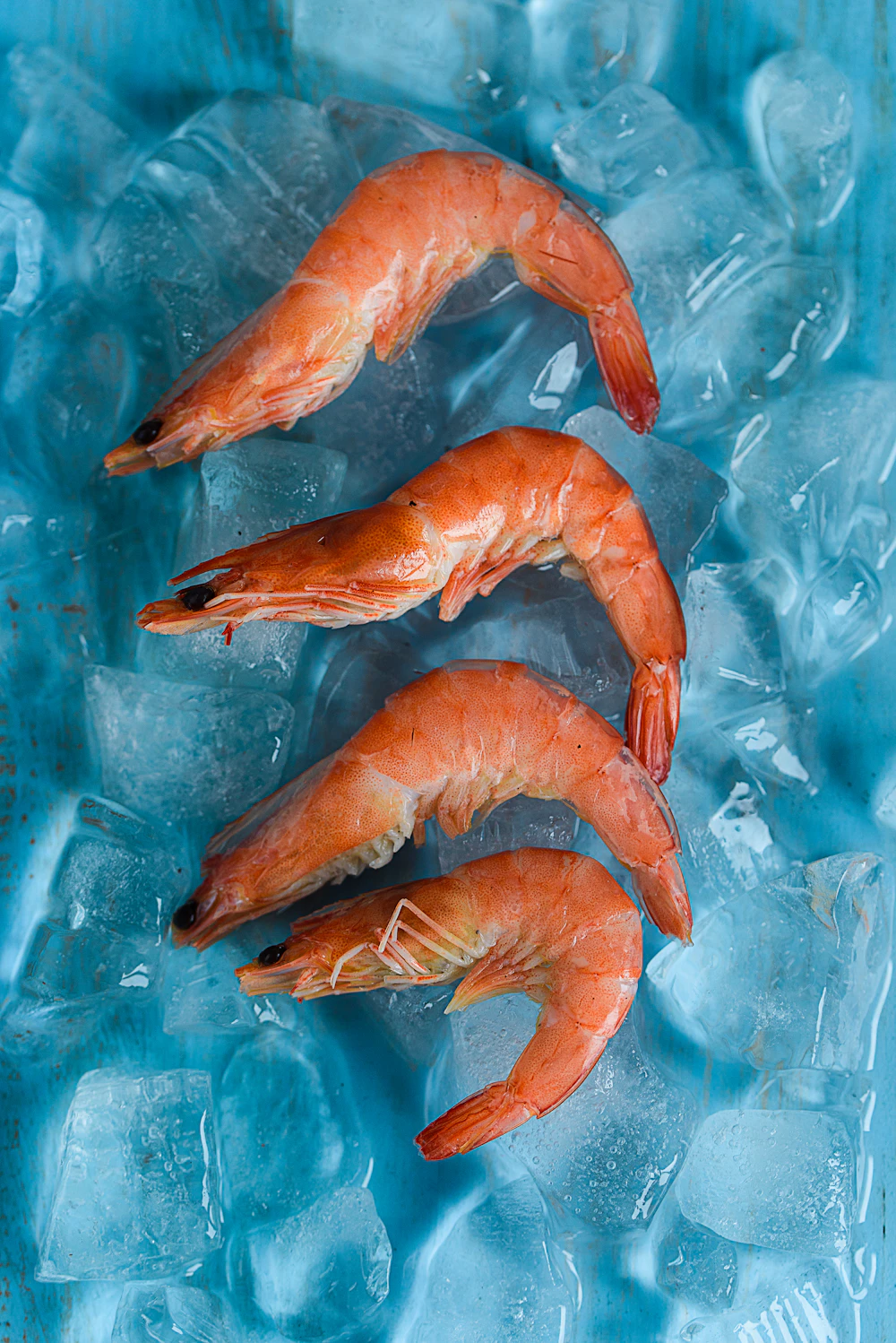 Raw shrimp resting on crushed ice, ready for frozen packing
