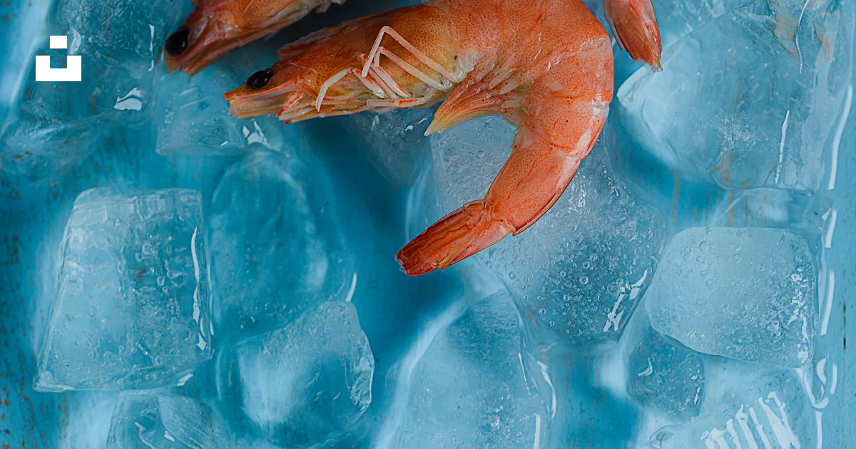 Quatre Crevettes Sur La Glace Photo Image Gratuite De Nourriture Sur Quatre Crevettes Sur La Glace Photo Image Gratuite De Nourriture Sur