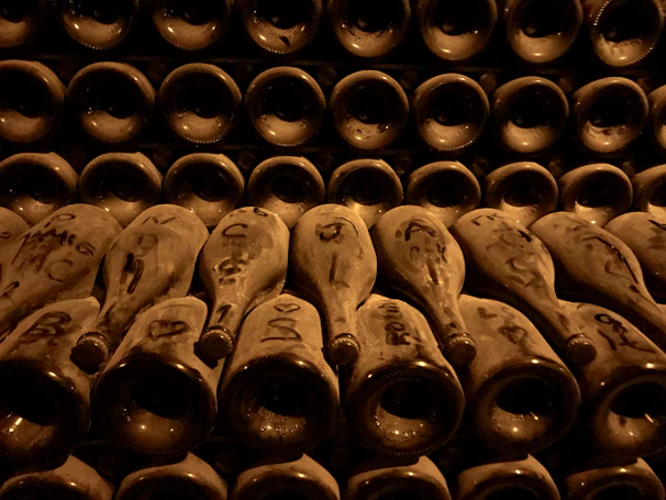 Rows of wine bottles in the dimly lit cellar showcasing local Piedmont labels