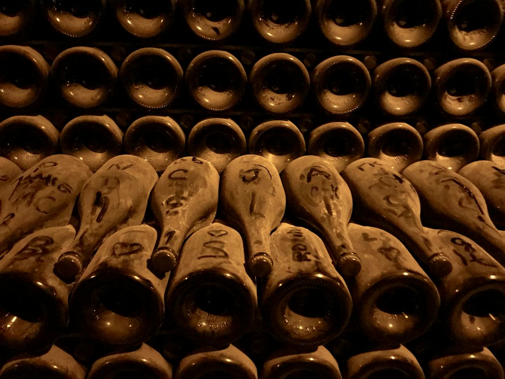 Ensamble Tierra Noble