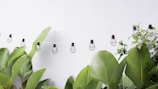 A string of decorative light bulbs hangs across a minimalist background with large green tropical leaves below, creating a harmonious blend of nature and industrial design.
