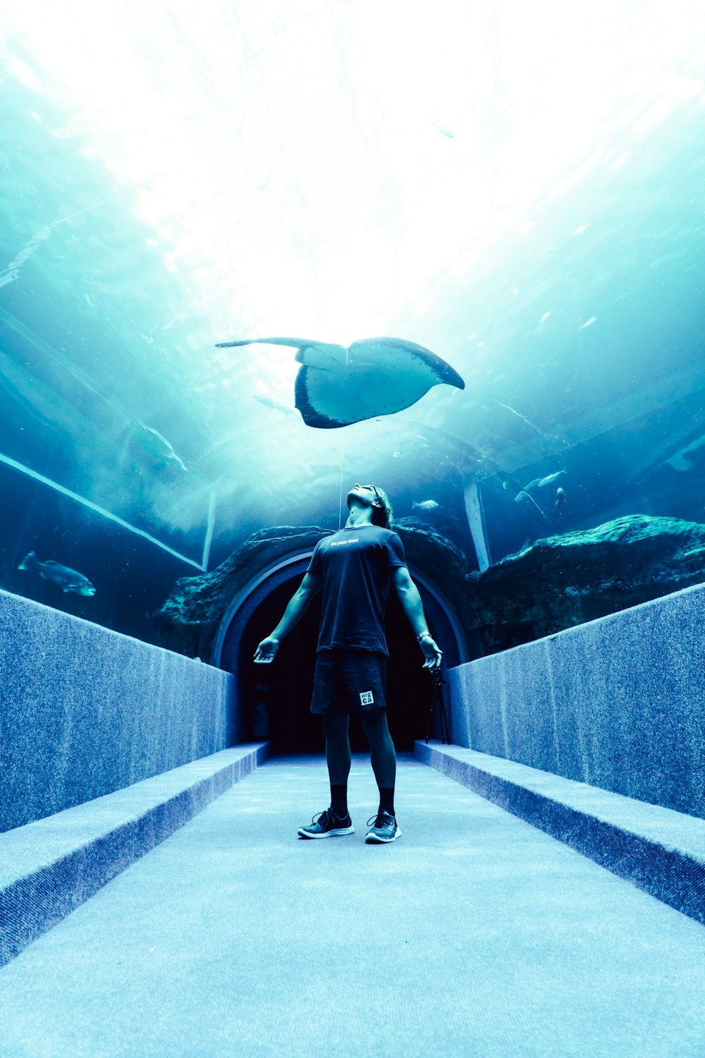 man standing on underwater dome under stingray