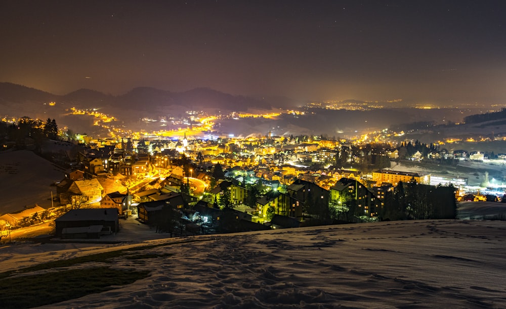 lighted buildings and houses during night time