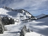 snow-covered mountain and pines under cloudy sky during daytime