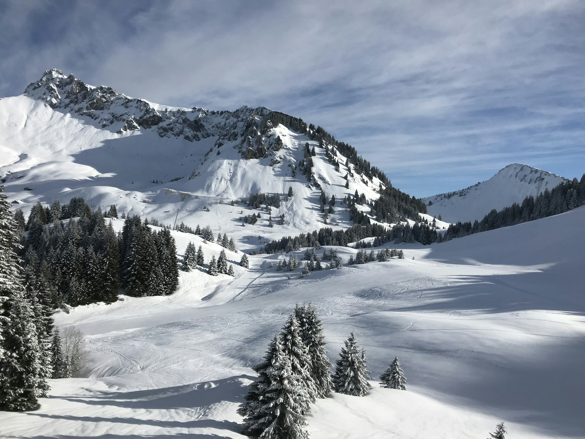 snow-covered mountain and pines under cloudy sky during daytime