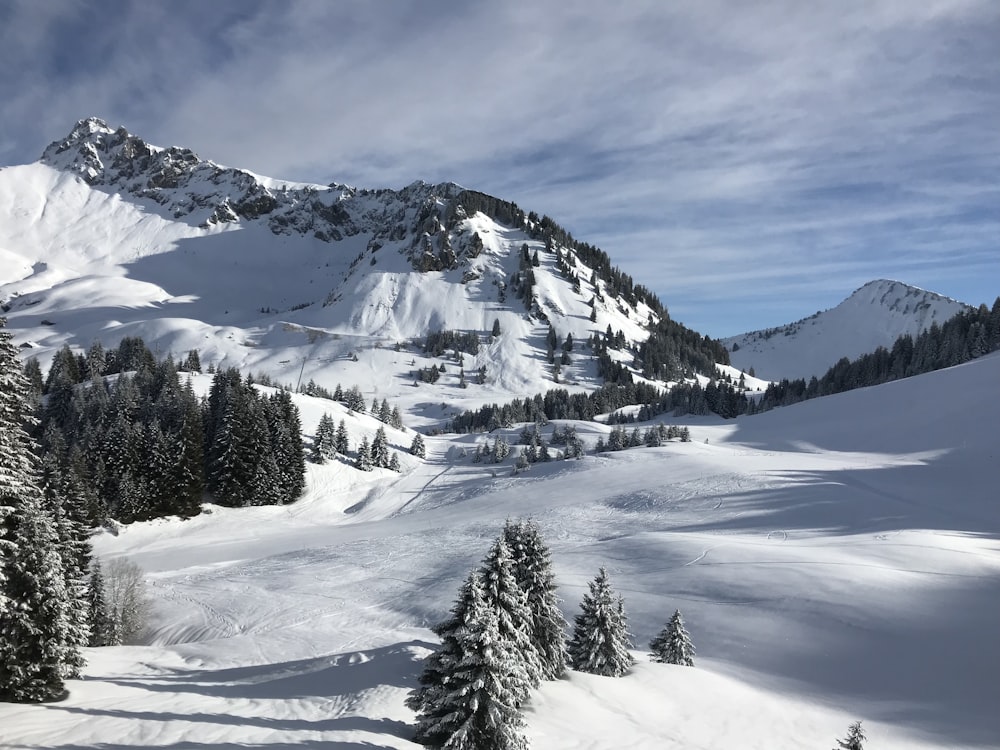 snow-covered mountain and pines under cloudy sky during daytime