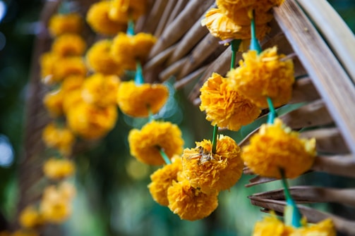 Bright yellow marigold flowers are strung together on a green thread, creating a decorative garland. The flowers hang within a wooden framework, and the background is softly blurred, suggesting an outdoor setting with greenery.