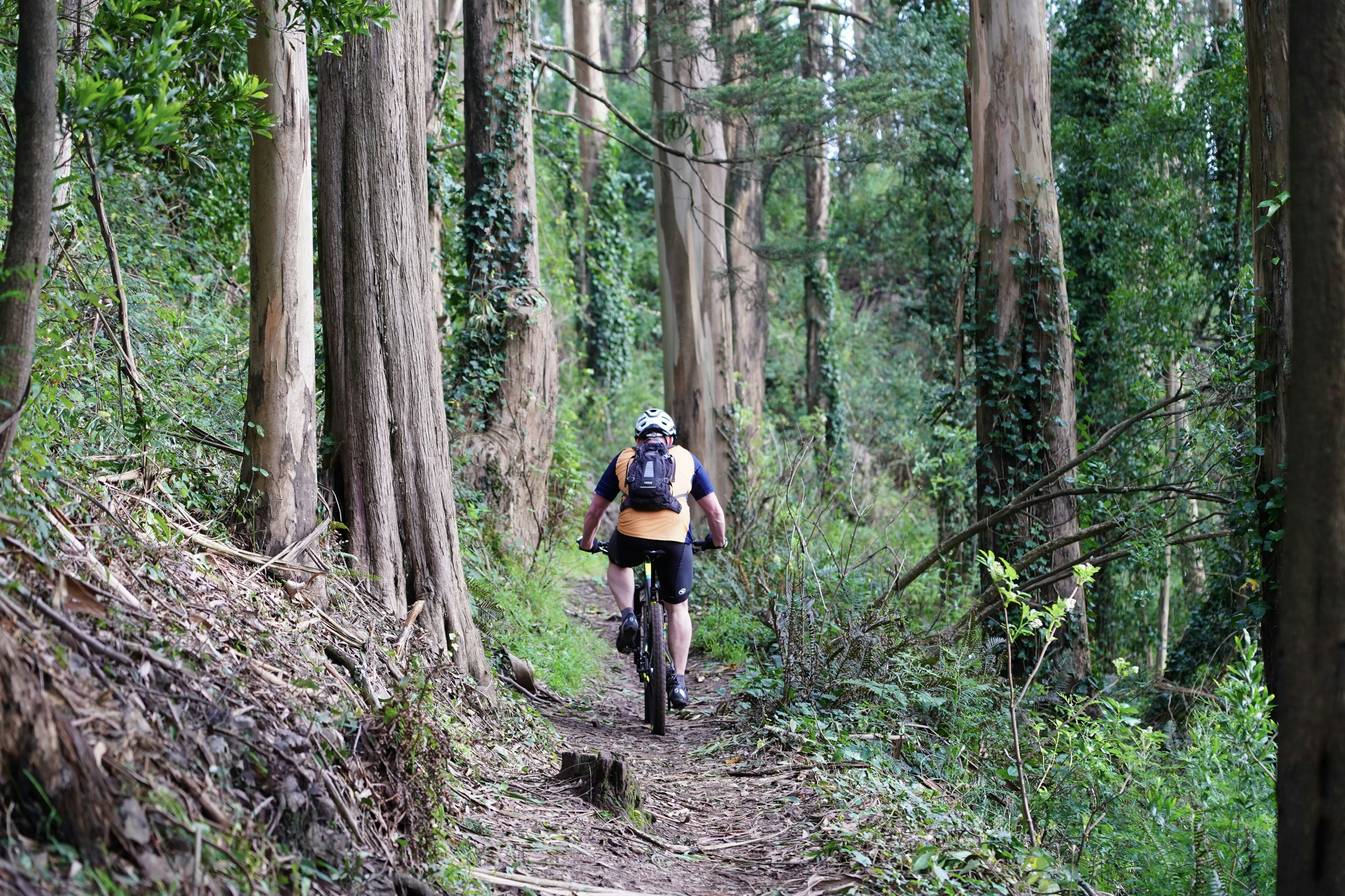person cycling on jungle during daytime