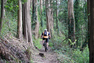 Cyclist wearing a green military-style helmet and gloves navigating a tight forest trail.