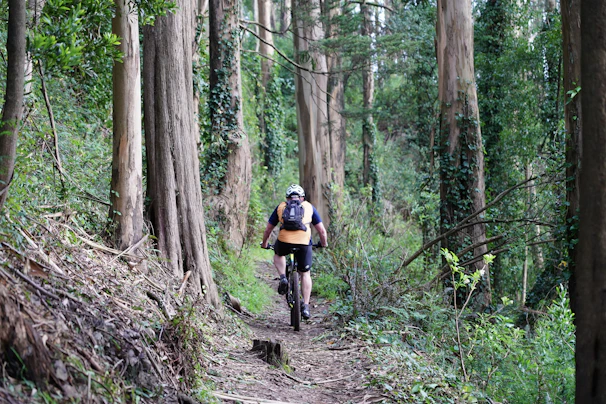 Cyclist wearing a green military-style helmet and gloves navigating a tight forest trail.
