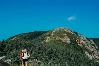 Two hikers, wearing backpacks, are walking along a lush mountain trail. The path winds upward, surrounded by dense green forests and rocky edges. The sky is clear and blue, adding to the vibrant atmosphere of the natural setting.