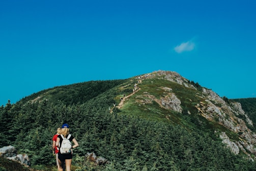 Two hikers, wearing backpacks, are walking along a lush mountain trail. The path winds upward, surrounded by dense green forests and rocky edges. The sky is clear and blue, adding to the vibrant atmosphere of the natural setting.