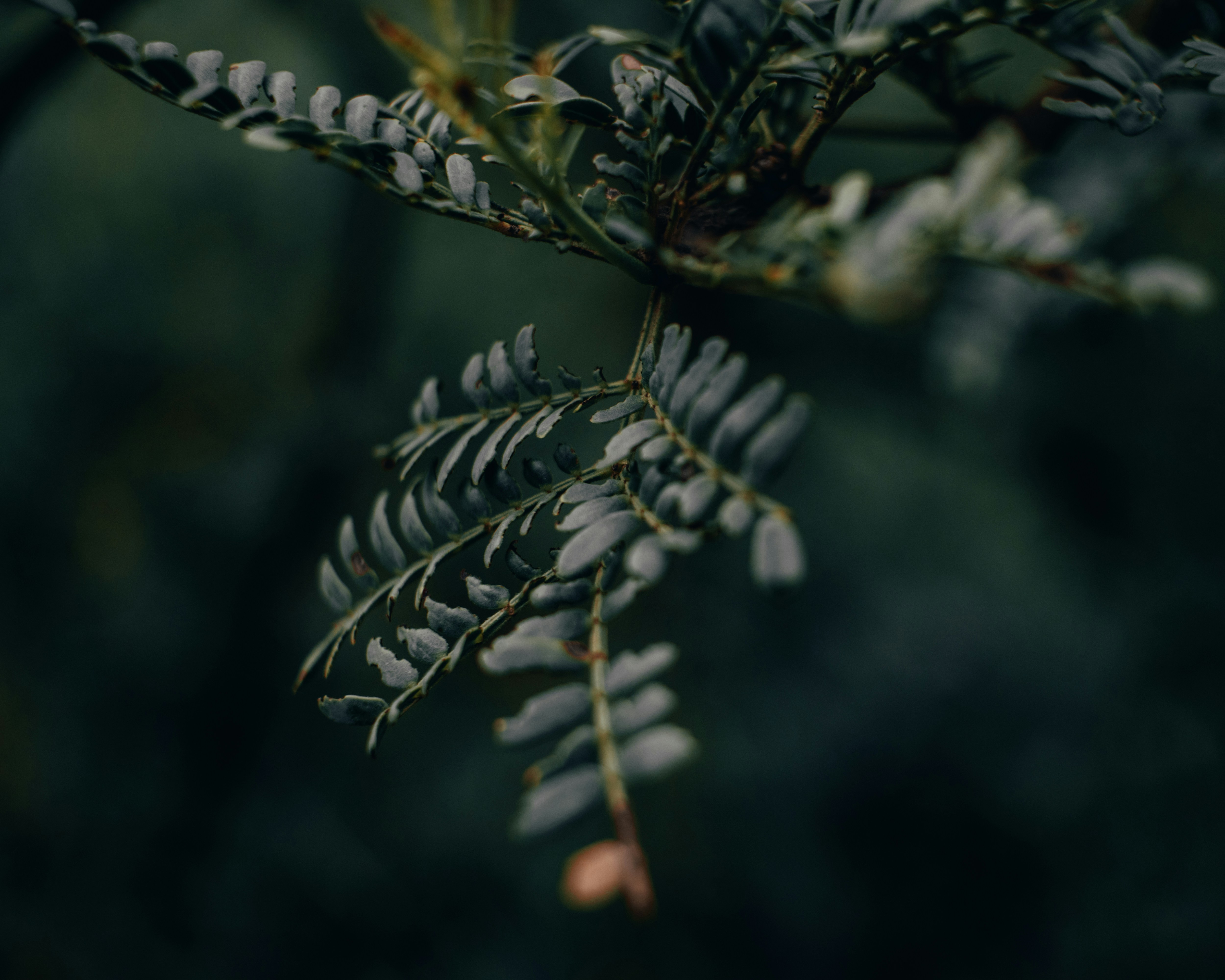 Photo by muaawiyahdadabhay