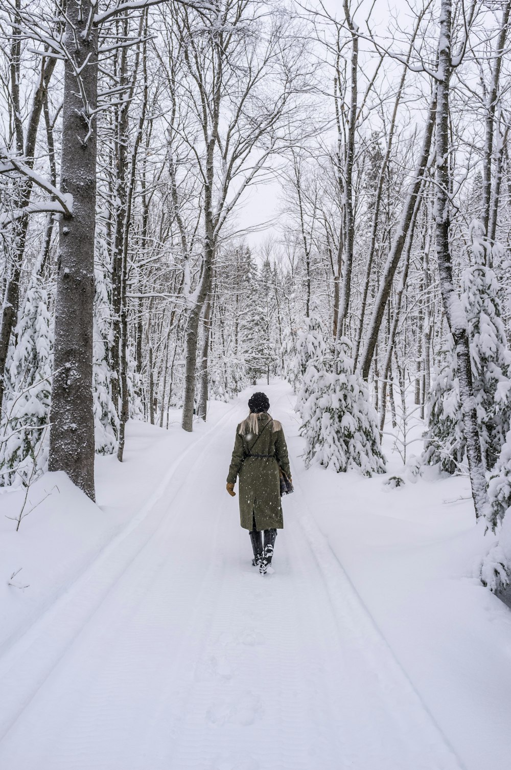 裸の木々に囲まれた雪道を歩く人