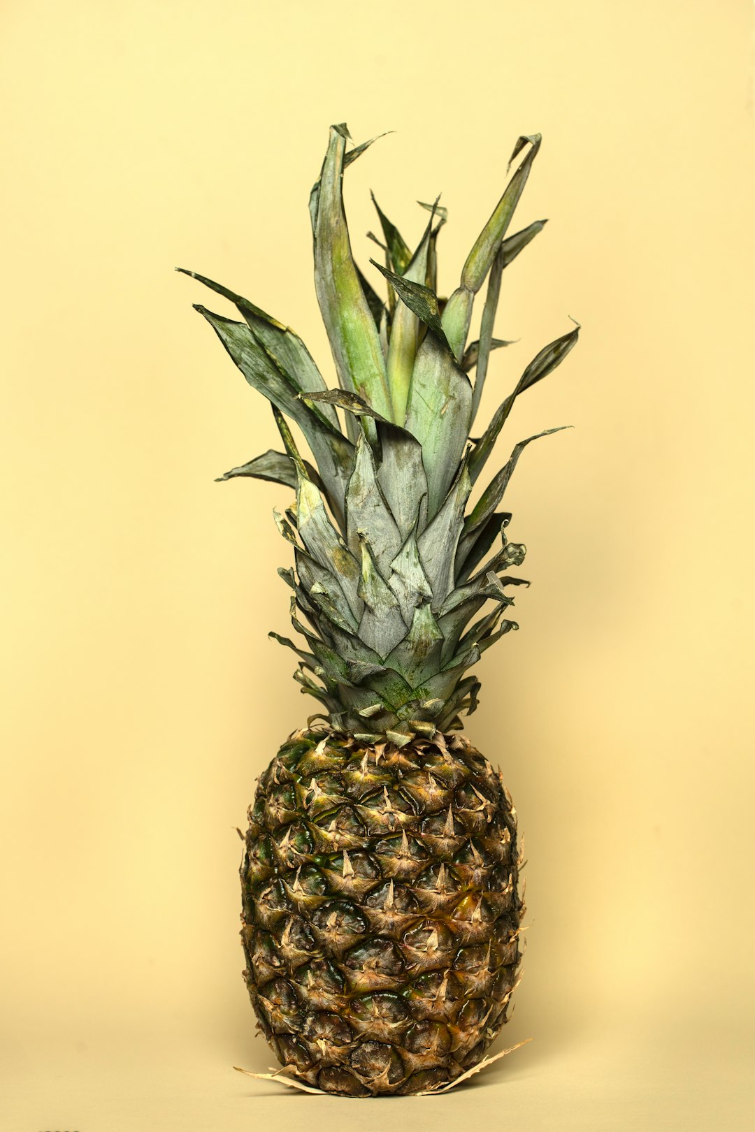 yellow and green pineapple