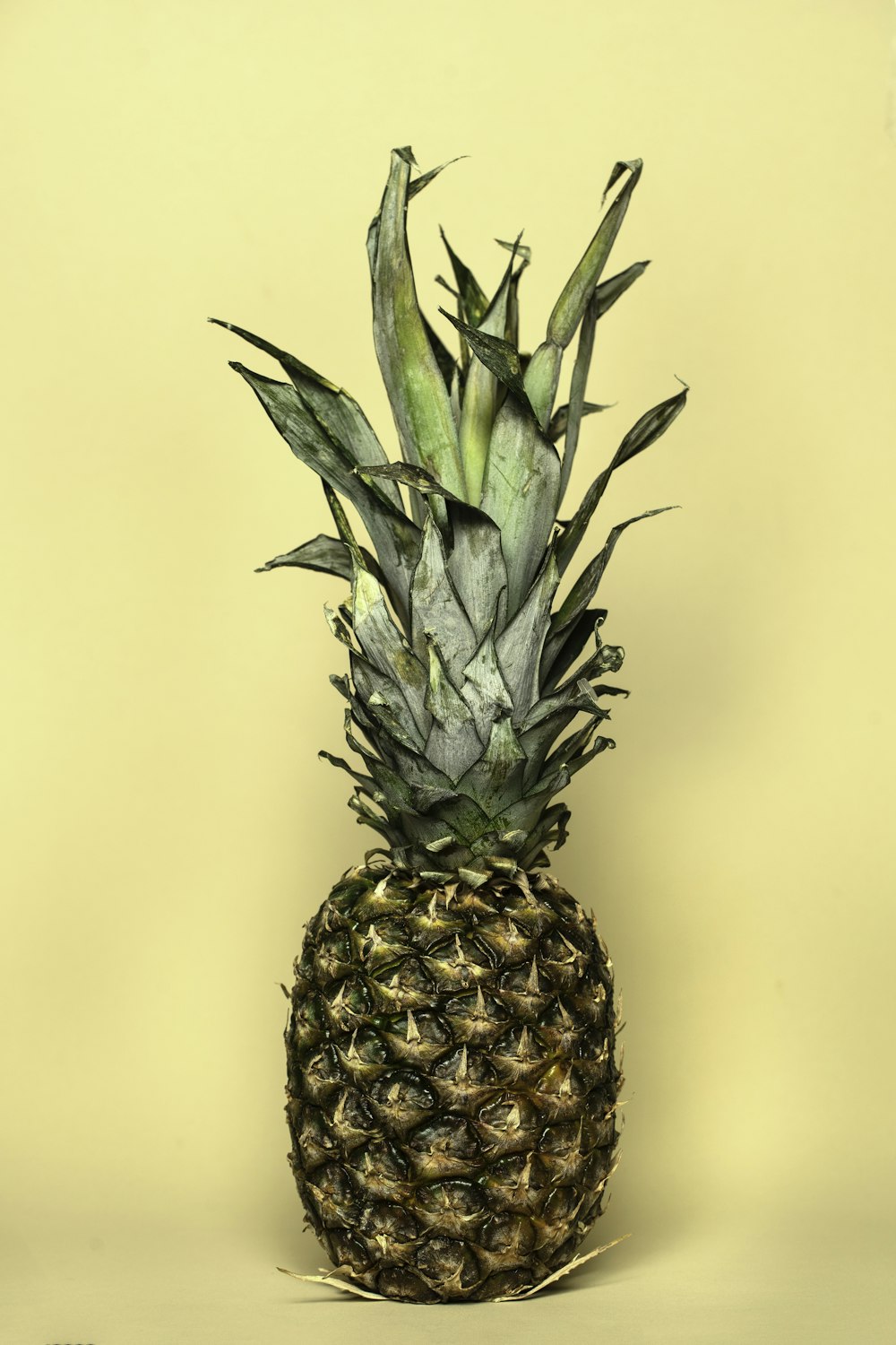 yellow and green pineapple