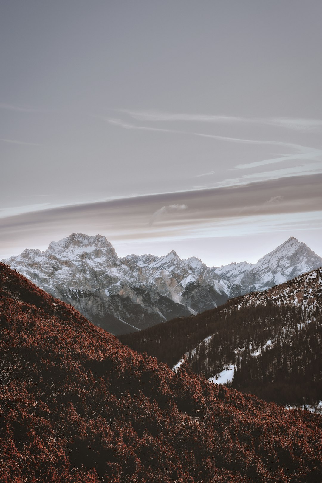 trees and mountain ranges under clear blue s