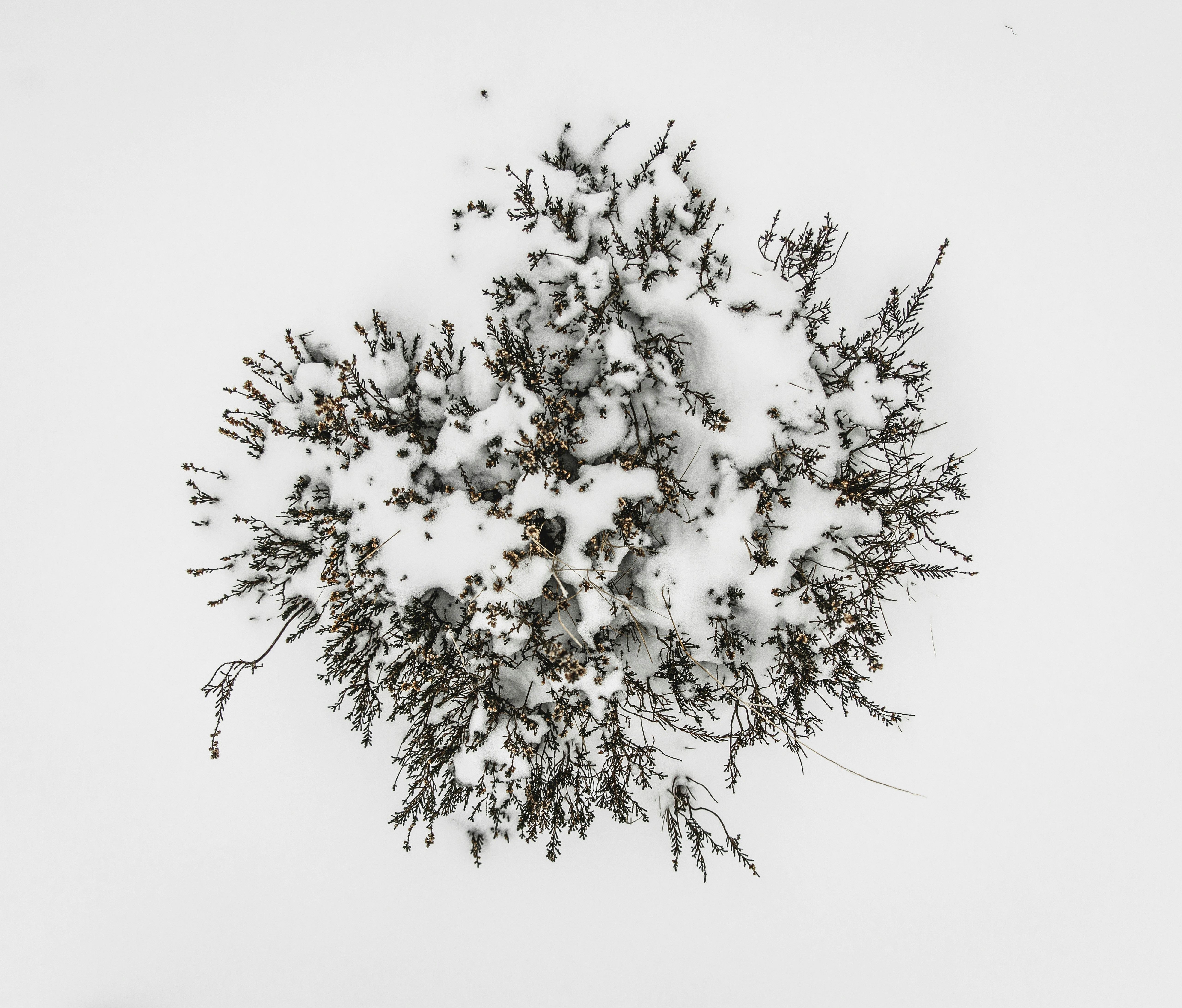 Photo by alex_andrews