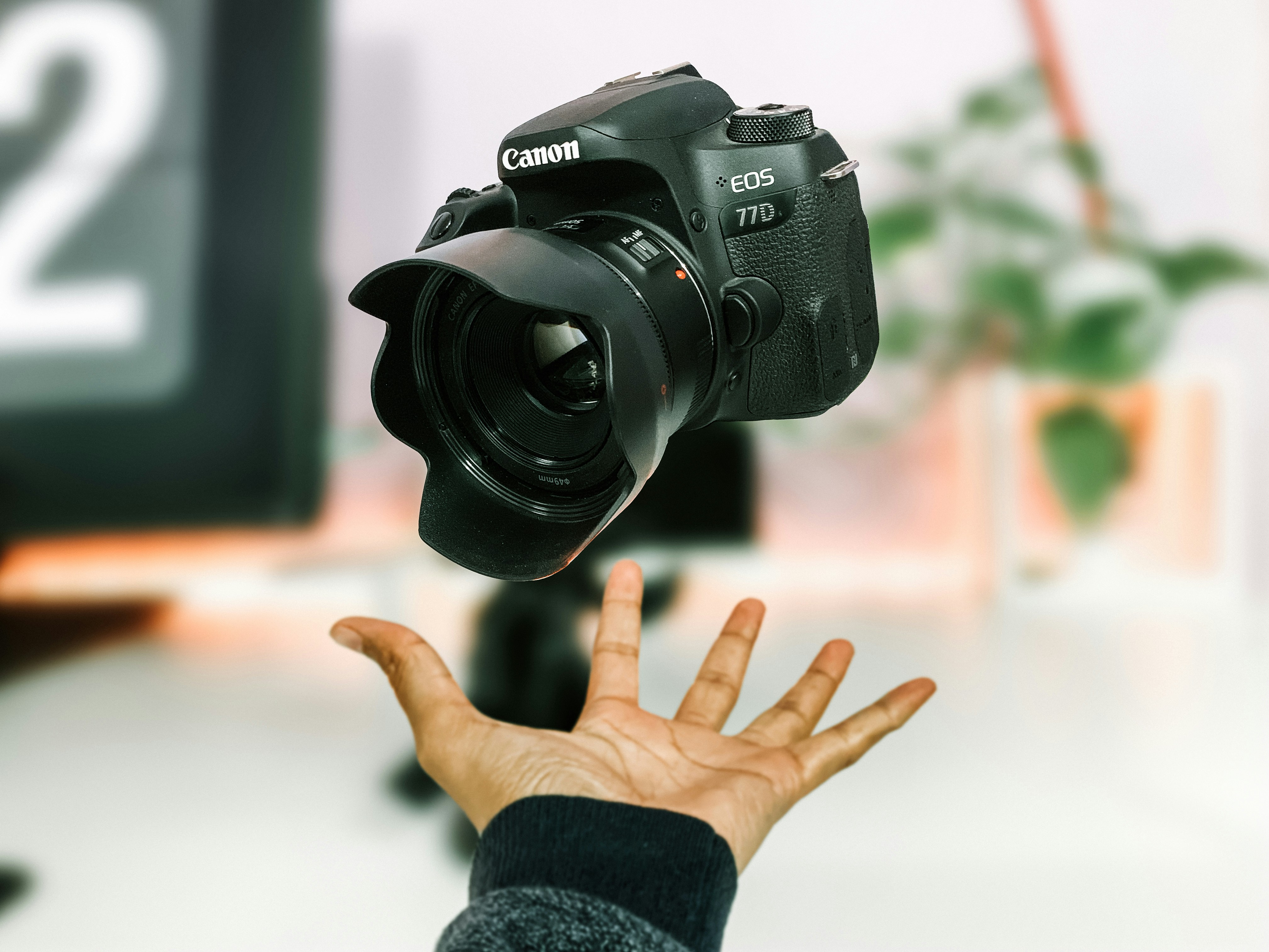 Foto von Sanni Sahil auf Unsplash