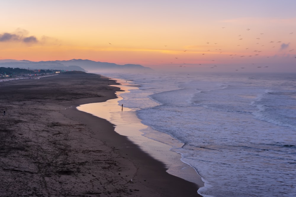 aerial photography of shore