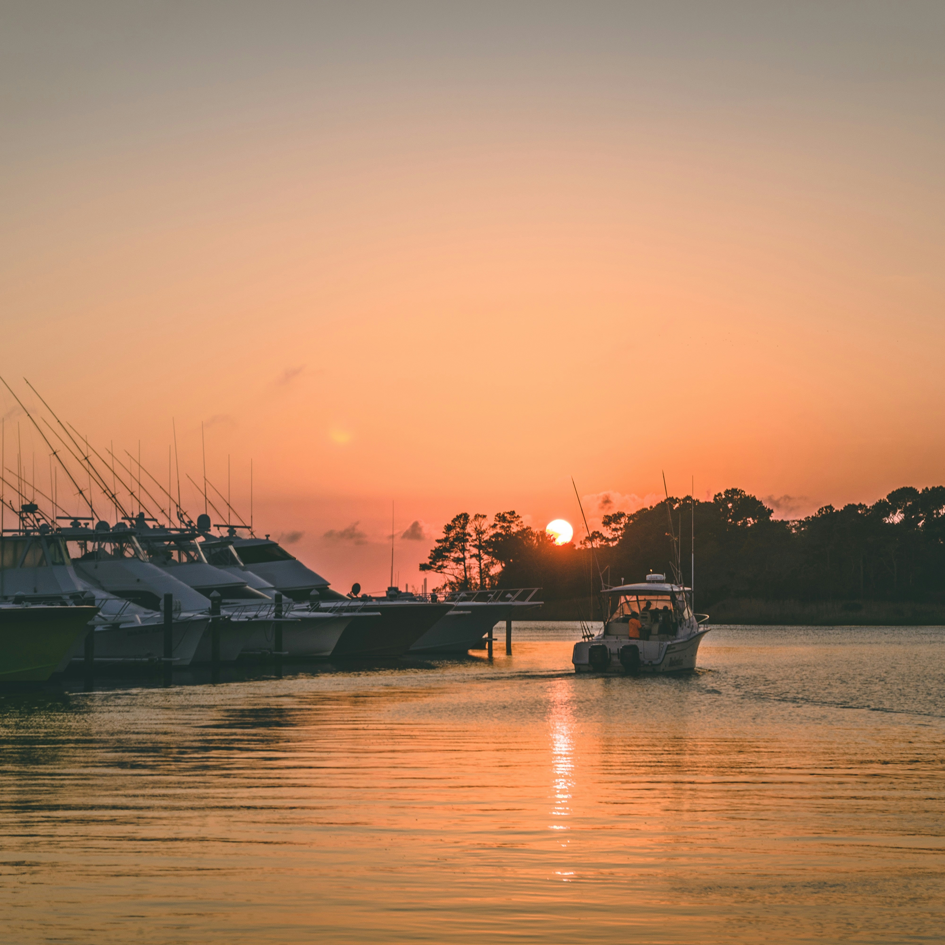 Photo by i_grantwishs