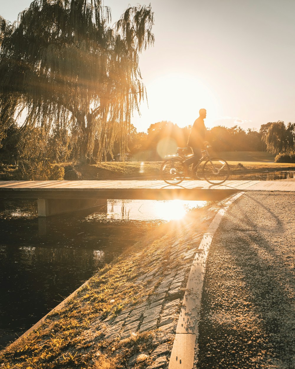 person riding bicycle during sunset